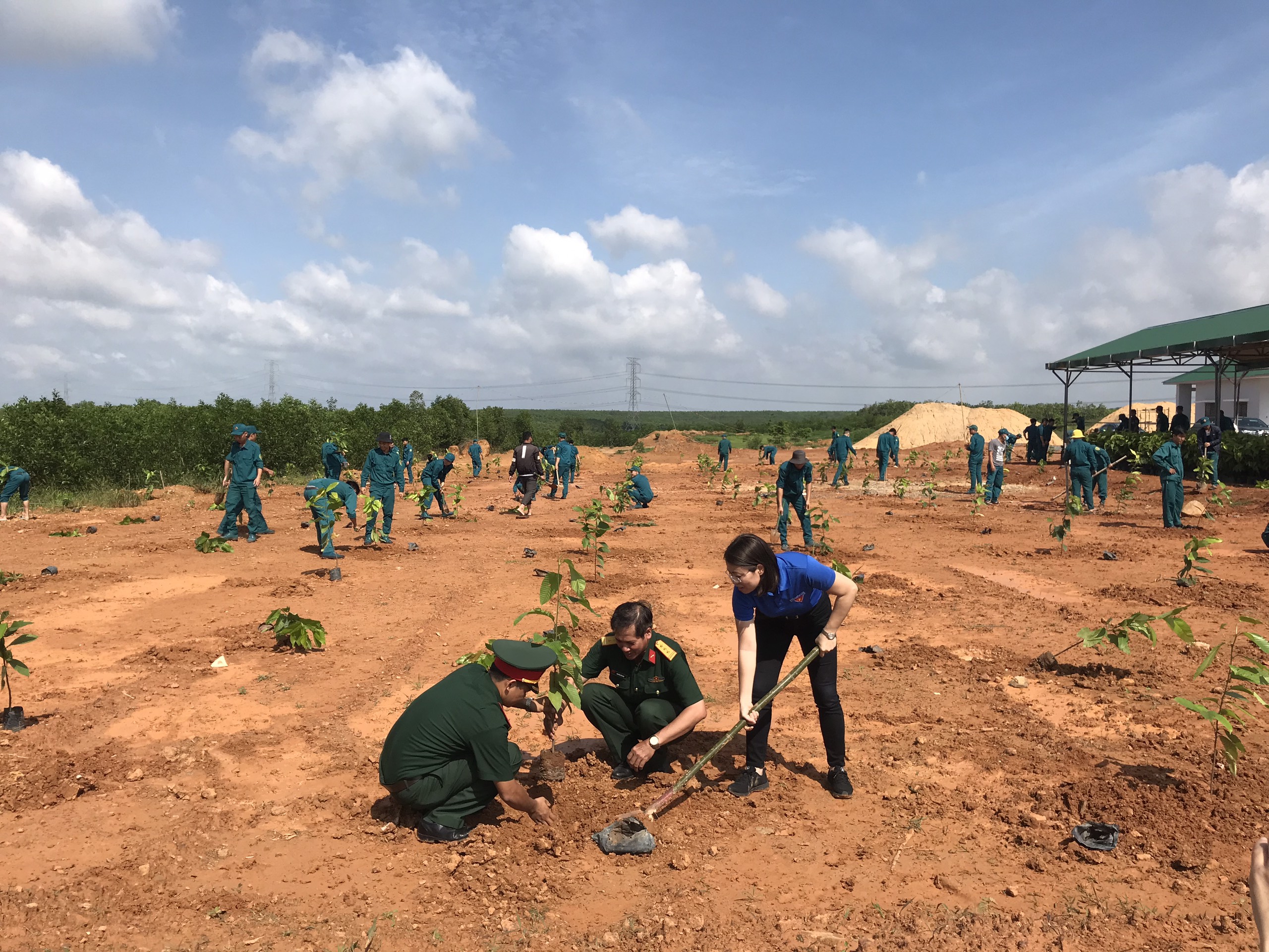 Quang cảnh hoạt động trồng cây xanh thực hiện Chiến dịch Hành quân xanh năm 2019.jpg
