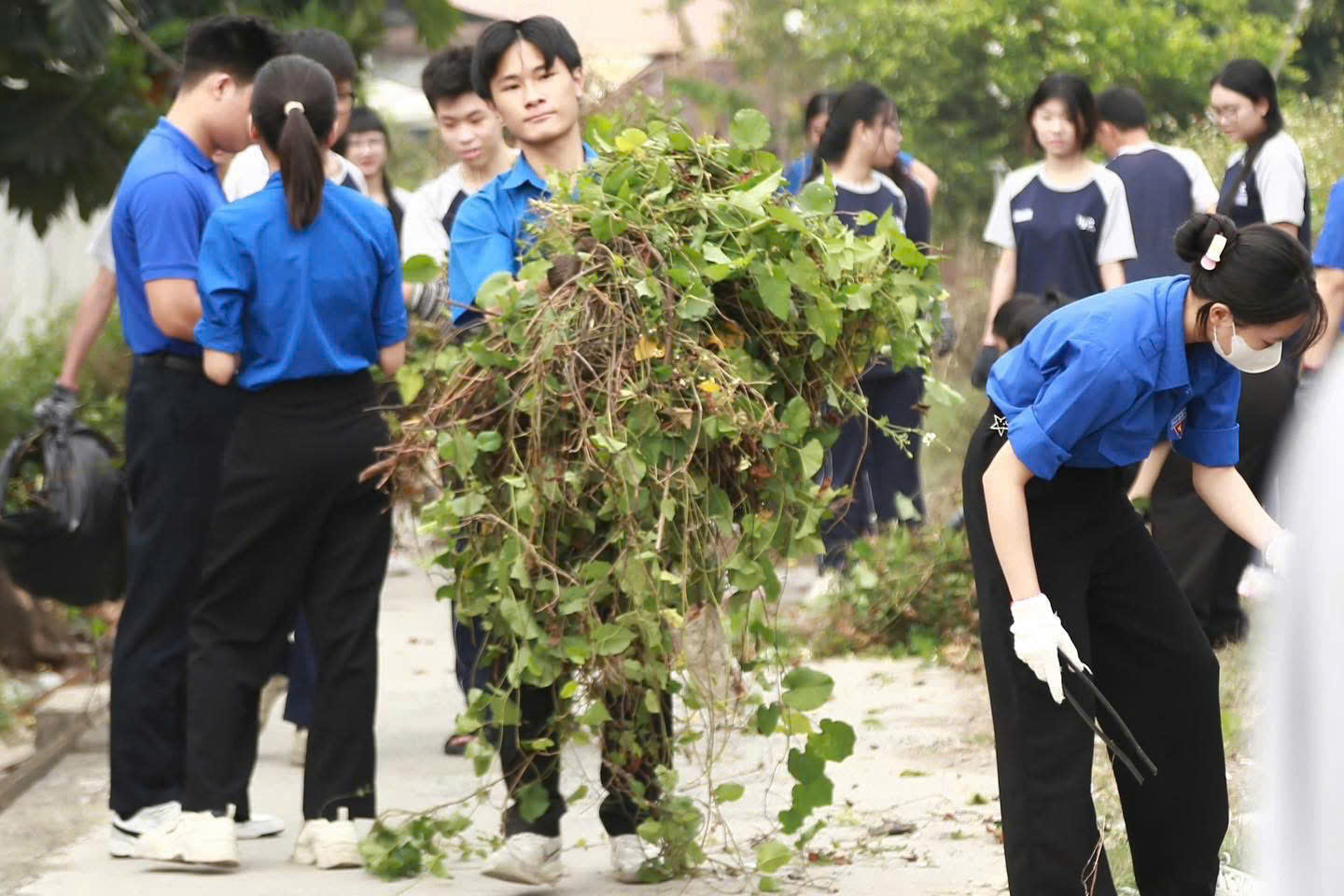 Dọn dẹp.jpg